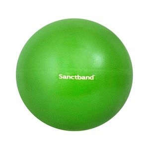 Brand New - Exercise Ball
